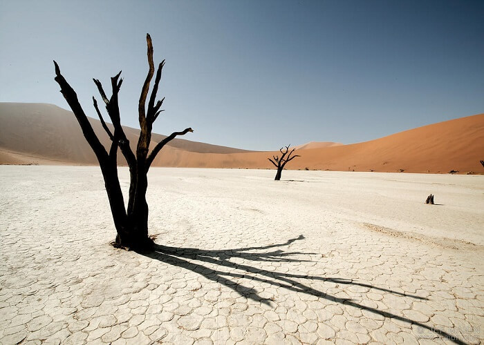 dead desert